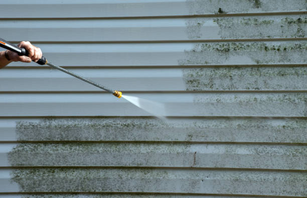 Best Residential Exterior Washing  in Shady Side, MD
